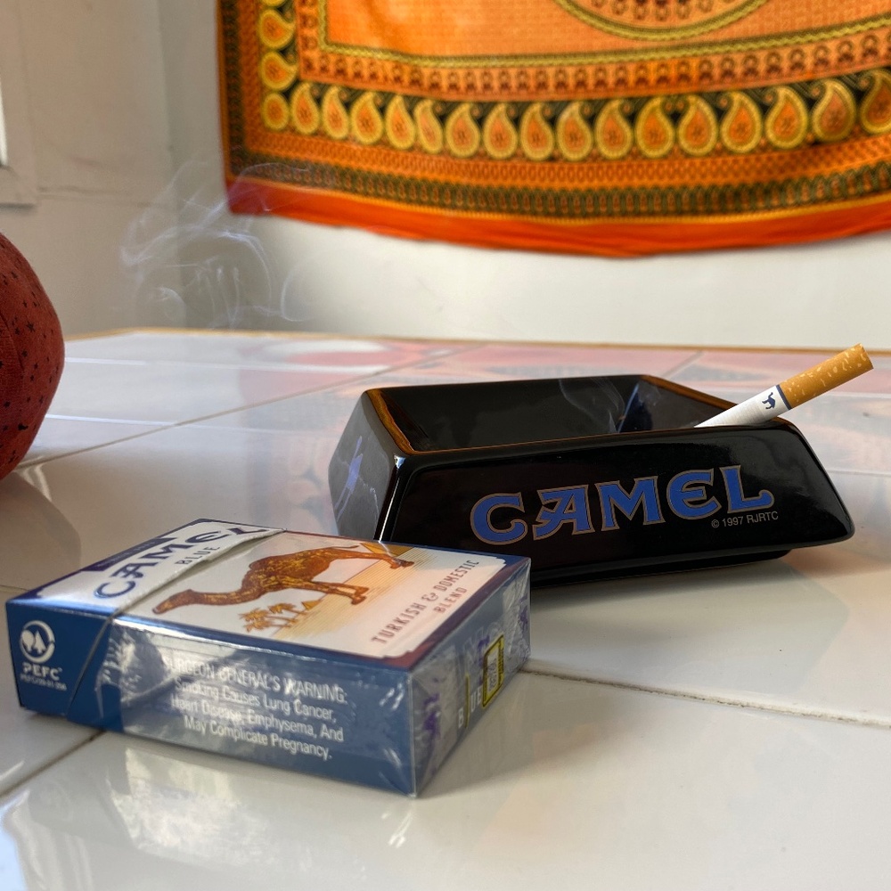 Meet your Posher, Shelby